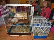 Den dětí se zvířátky